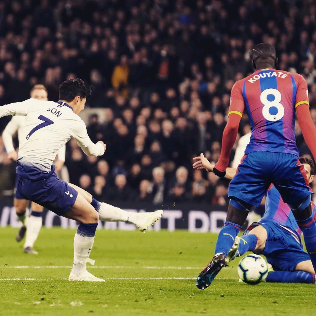 为何球迷能 为何球迷能